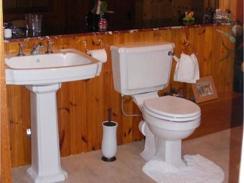 Ashley House Bed & Breakfast Dundee Bagian luar foto