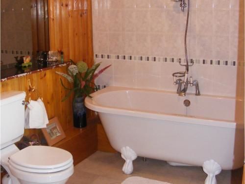 Ashley House Bed & Breakfast Dundee Bagian luar foto